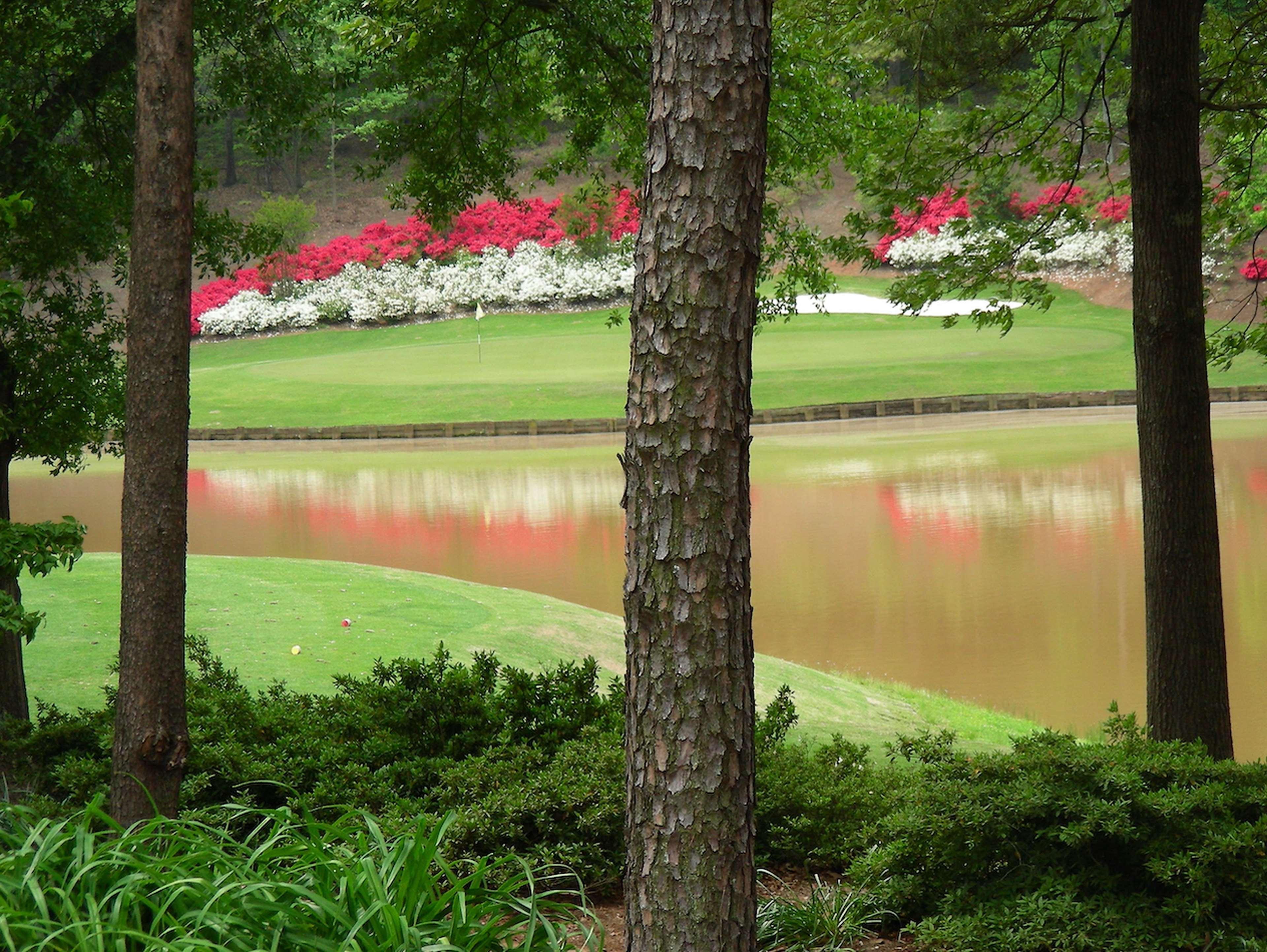Embassy Suites Greenville Golf Resort & Conference Center Exterior foto